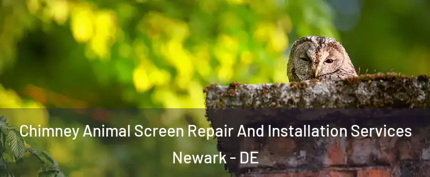  Chimney Animal Screen Repair And Installation Services Newark - DE