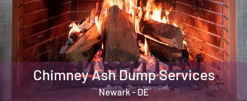  Chimney Ash Dump Services Newark - DE