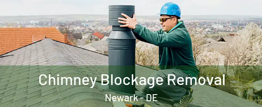  Chimney Blockage Removal Newark - DE
