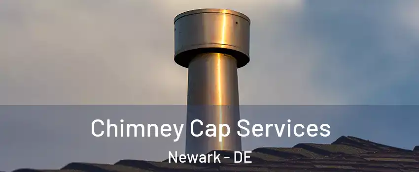  Chimney Cap Services Newark - DE