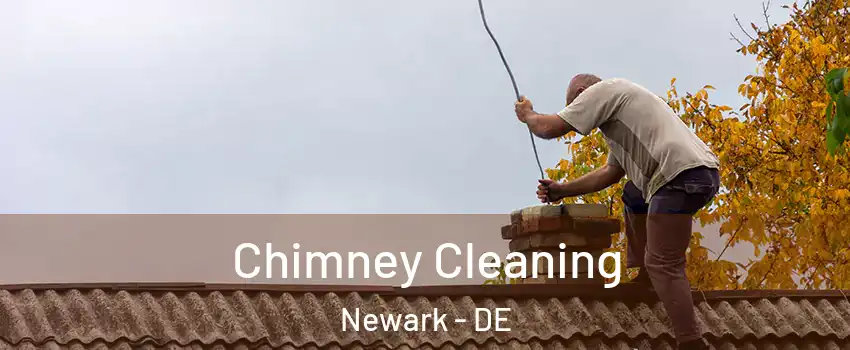  Chimney Cleaning Newark - DE