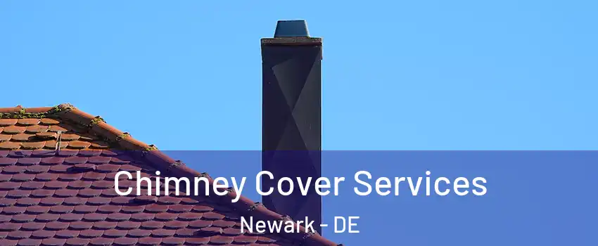  Chimney Cover Services Newark - DE