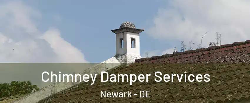  Chimney Damper Services Newark - DE