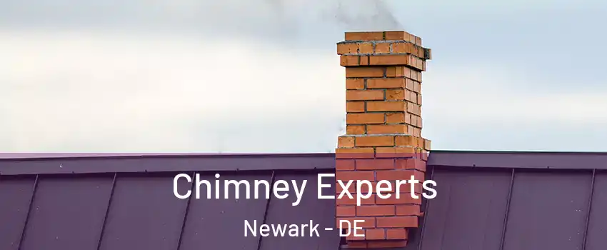  Chimney Experts Newark - DE