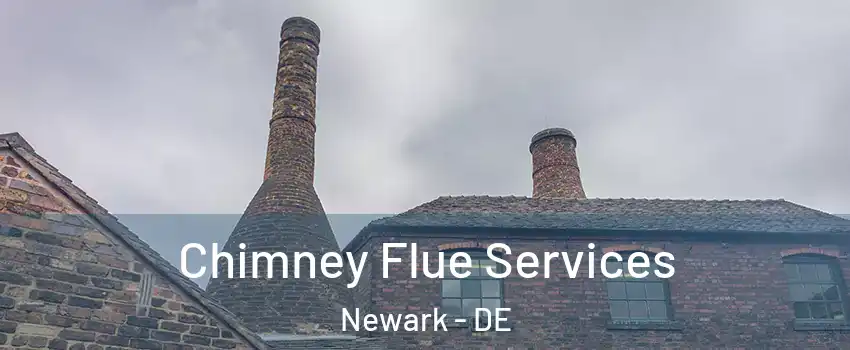  Chimney Flue Services Newark - DE