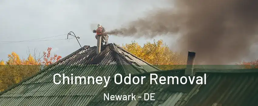  Chimney Odor Removal Newark - DE