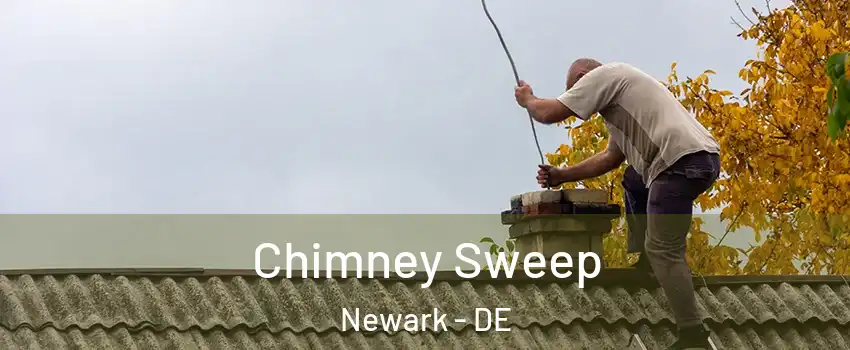  Chimney Sweep Newark - DE