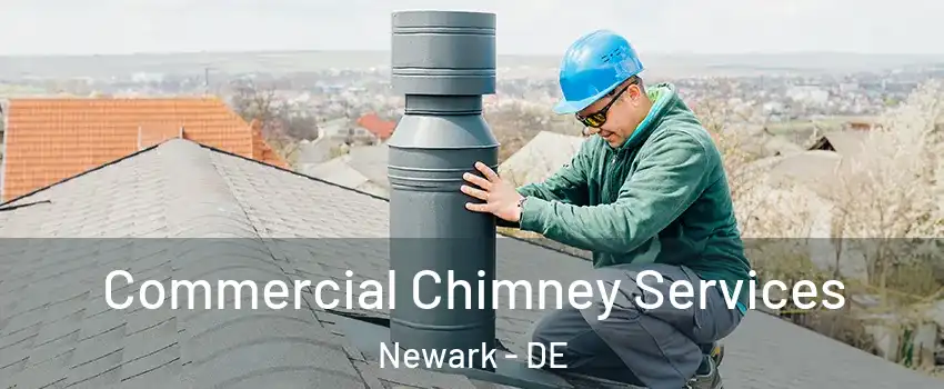  Commercial Chimney Services Newark - DE