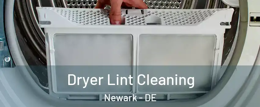  Dryer Lint Cleaning Newark - DE