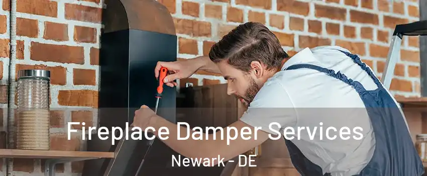  Fireplace Damper Services Newark - DE