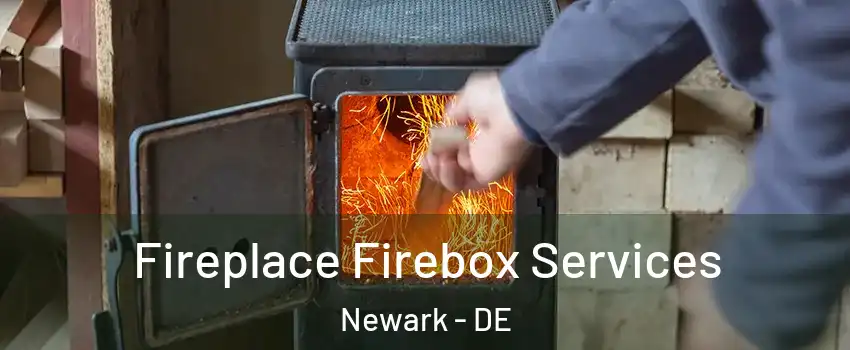  Fireplace Firebox Services Newark - DE