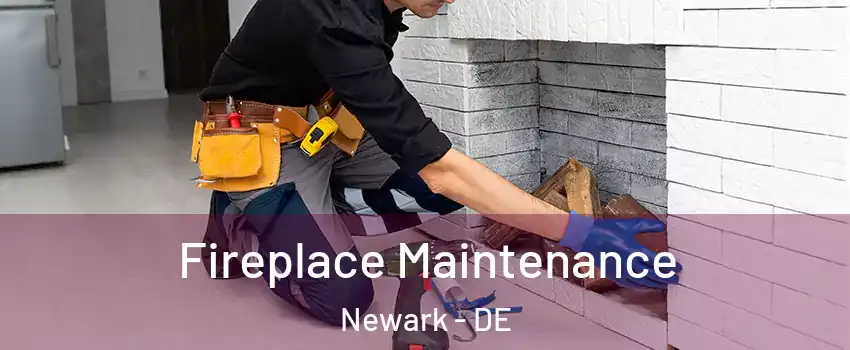  Fireplace Maintenance Newark - DE