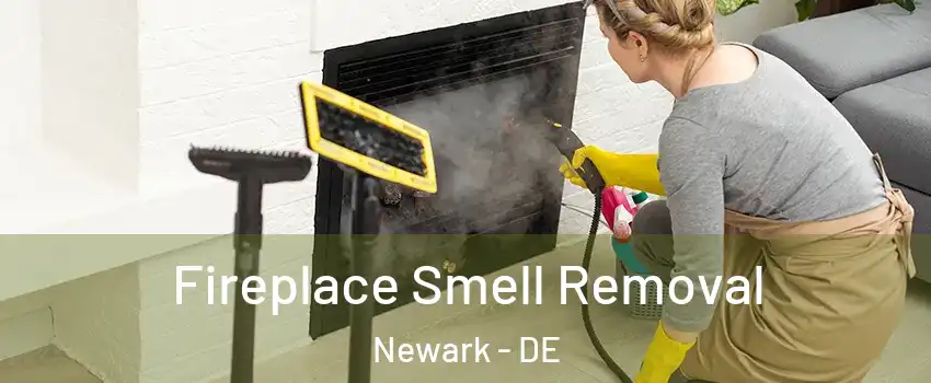  Fireplace Smell Removal Newark - DE