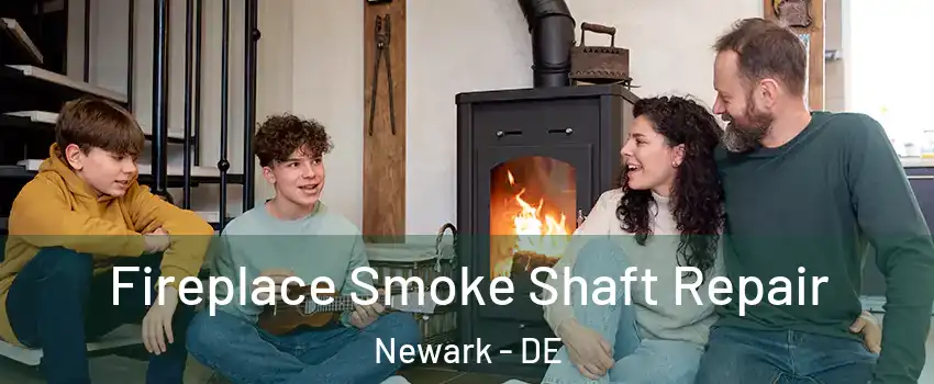  Fireplace Smoke Shaft Repair Newark - DE