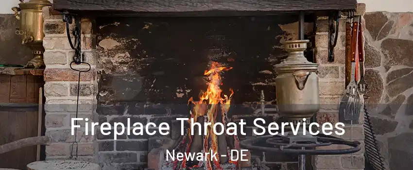 Fireplace Throat Services Newark - DE