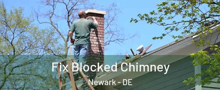  Fix Blocked Chimney Newark - DE