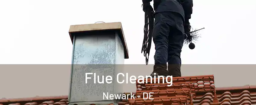  Flue Cleaning Newark - DE