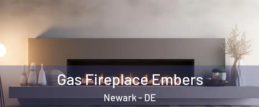  Gas Fireplace Embers Newark - DE