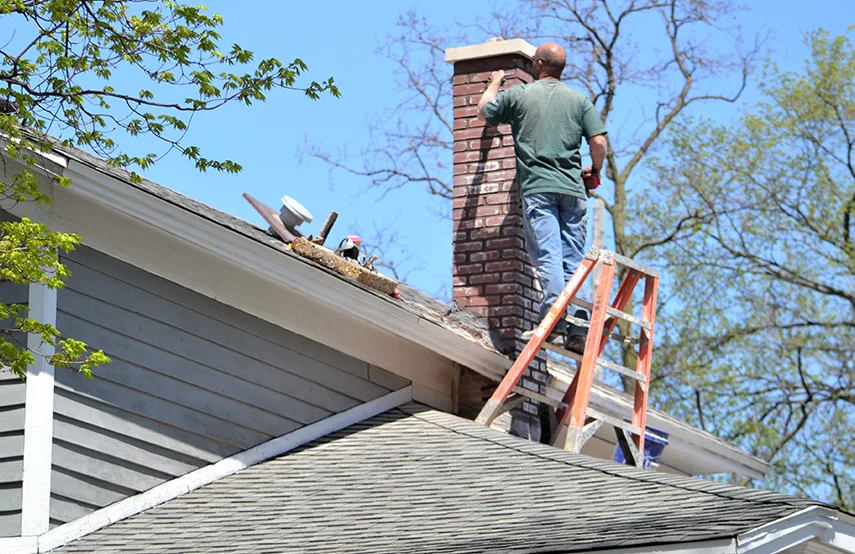 Chimney & Fireplace Inspections Services in Newark, DE