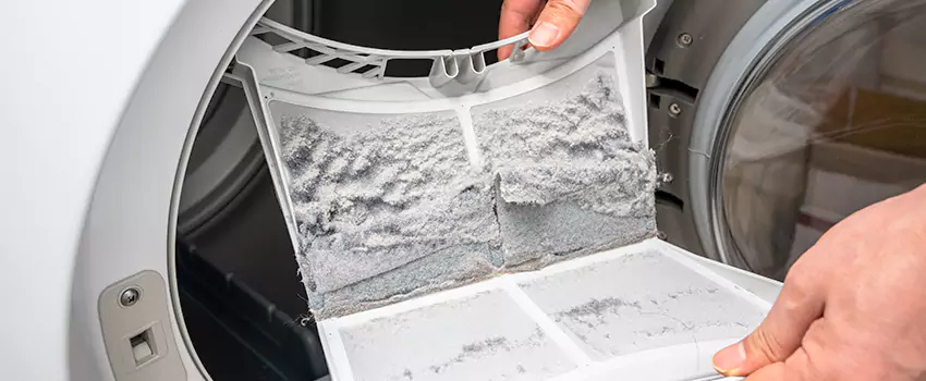 Best Dryer Lint Removal Company in Newark, Delaware