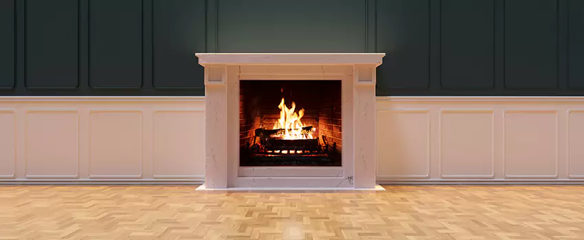 Napoleon Electric Fireplaces Inspection Service in Newark, Delaware