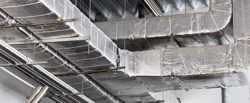 Vent Dust Cleaning Cost in Newark, DE