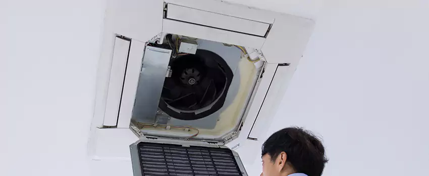 Benefits of Professional Air Duct Cleaning in Newark, Delaware