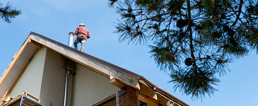 Birds Removal Contractors from Chimney in Newark, DE