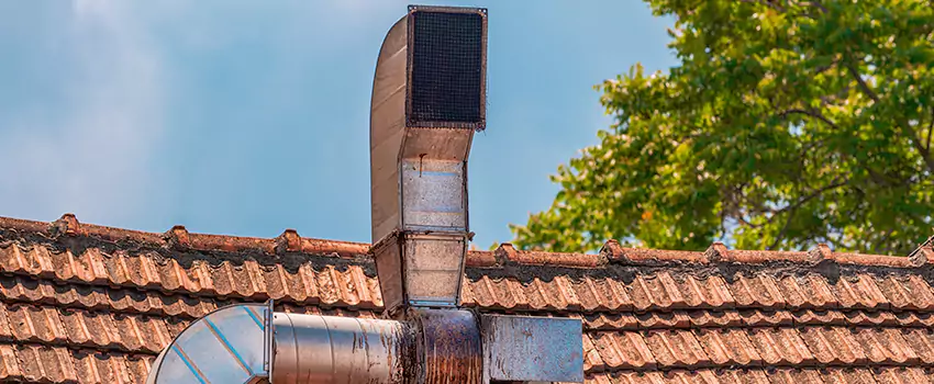 Chimney Blockage Removal in Newark, Delaware