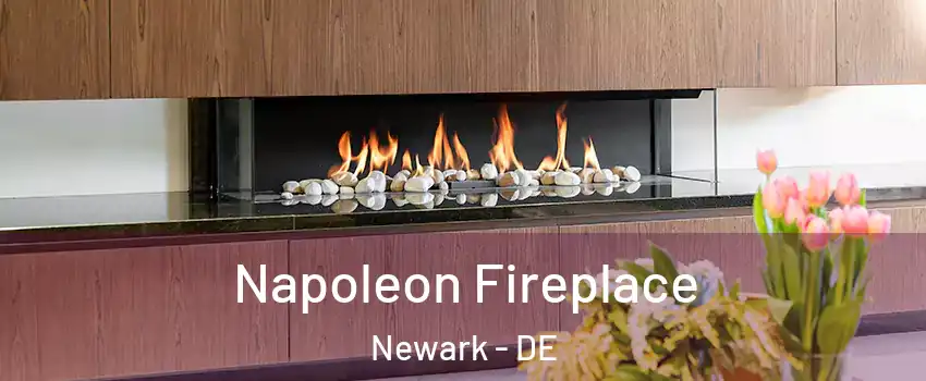  Napoleon Fireplace Newark - DE