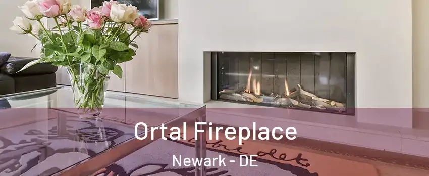 Ortal Fireplace Newark - DE