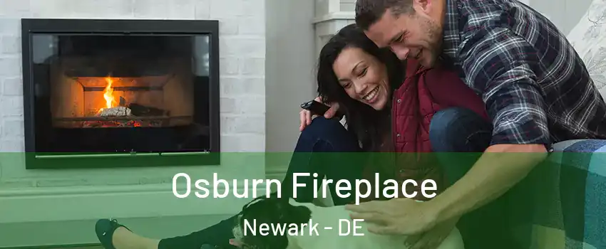  Osburn Fireplace Newark - DE